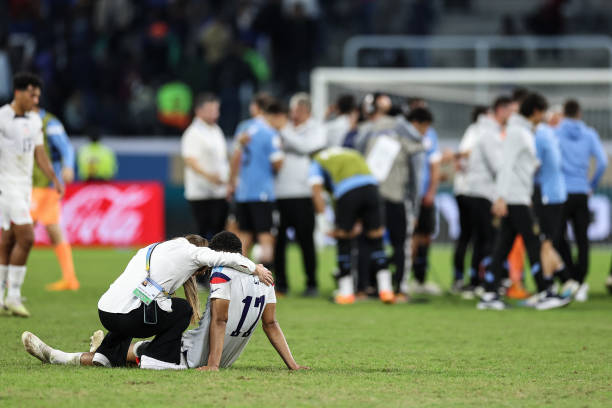 仅体现了自 仅体现了自