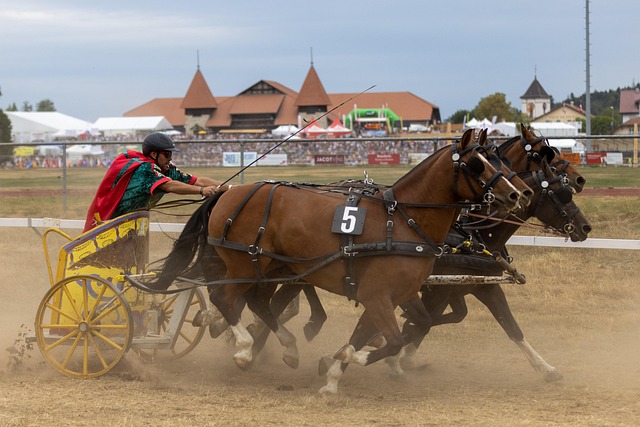 强调一种文 强调一种文